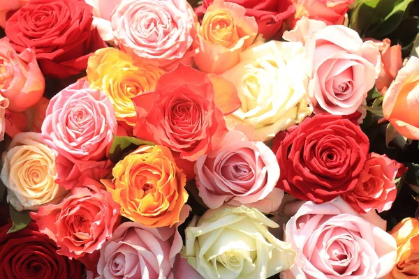 Flores Casamento Rosas Várias Cores Brilhantes — Fotografia de Stock