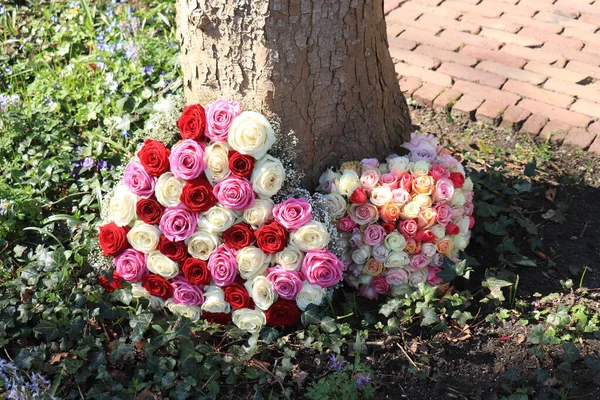 Hartvormige Sympathie Bloemen Bij Een Boom Rozen Verschillende Kleuren — Stockfoto