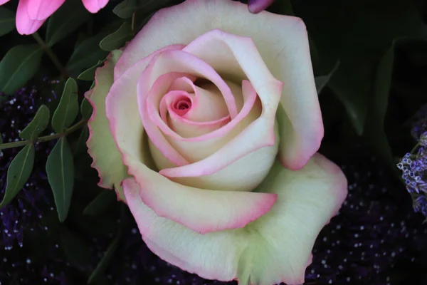 Close Single Pink Rose Part Mixed Floral Arrangement — Stock Photo, Image