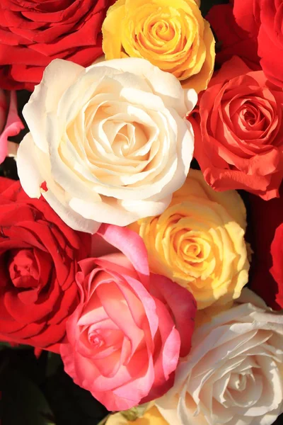 Ramo Rosas Mixtas Rosas Grandes Colores Brillantes —  Fotos de Stock