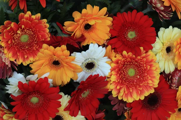 Gemischtes Gesteck Verschiedene Gerberas Verschiedenen Farben Für Eine Hochzeit — Stockfoto