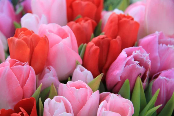 Tulipes Bouquet Mixte Rouge Différentes Nuances Rose — Photo