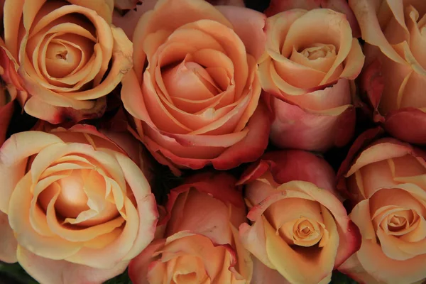 Bunte Hochzeitsrosen Vintage Look Rosa Gelb Und Orange — Stockfoto