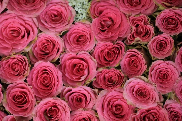 Rosas Rosadas Una Decoración Floral Boda Telón Fondo Perfecto — Foto de Stock