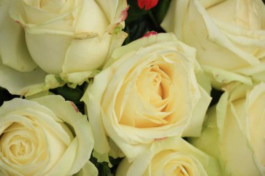 Çiçeklerle süslenmiş beyaz güller.