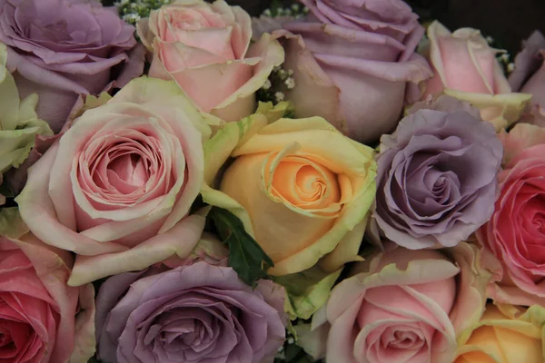 꽃꽂이에서 색깔의 장미를 피우는 — 스톡 사진