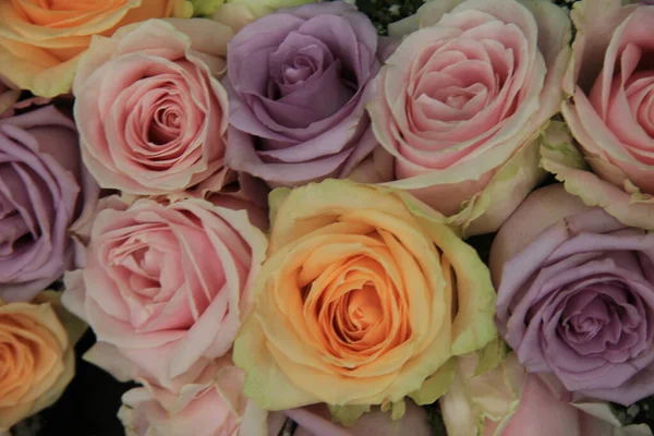 Große Pastellfarbene Hochzeitsrosen — Stockfoto