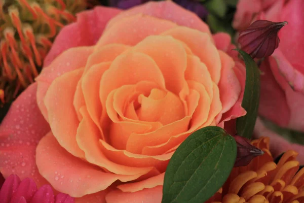 Único Grande Rosa Rosa Buquê Casamento Flores Nupciais — Fotografia de Stock