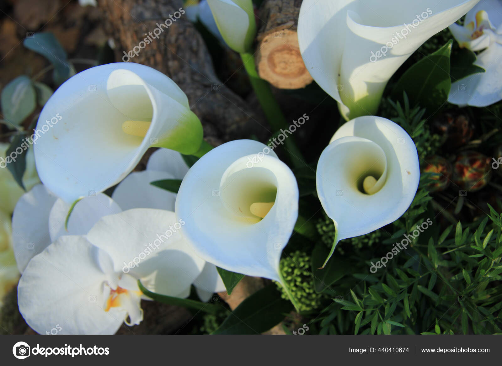 Pieza de flor fotos de stock, imágenes de Pieza de flor sin royalties |  Depositphotos