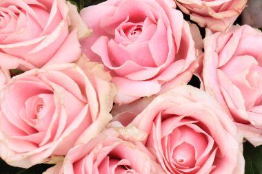 Çiçekli bir düğün süslemesinde büyük pembe güller