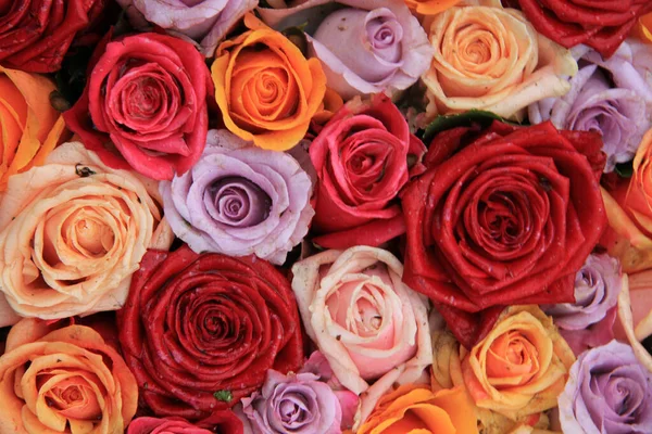 Rosas Várias Cores Brilhantes Buquê Bridak Misto — Fotografia de Stock