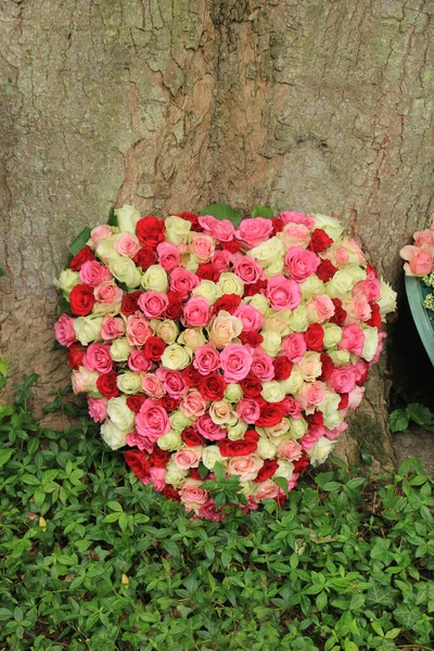 Coração Forma Flores Simpatia Perto Uma Árvore Cemitério — Fotografia de Stock