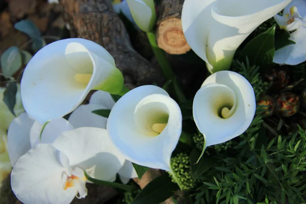 Calla Lilien Einem Gemischten Brautblumenstück lizenzfreie Stockfotos