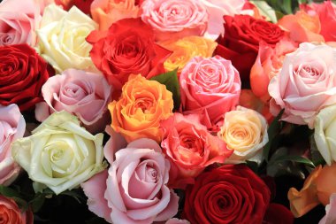 Düğün çiçekleri: çeşitli parlak renklerde güller