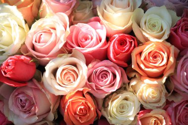 Bir çok pastel renkte güllerle gelin çiçeği aranjmanı