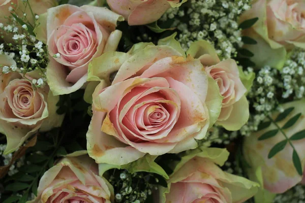 Pale Pink Roses Floral Wedding Decoration — Photo