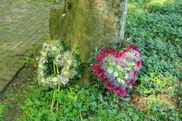 Kwiaty Sympatii Kształcie Serca Lub Kwiatów Pogrzebowych Pobliżu Drzewa — Zdjęcie stockowe