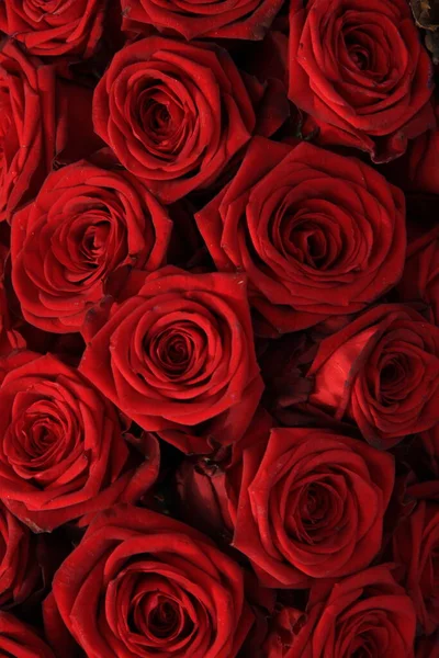 Grandi Rose Rosse Una Disposizione Nozze Floreale — Foto Stock