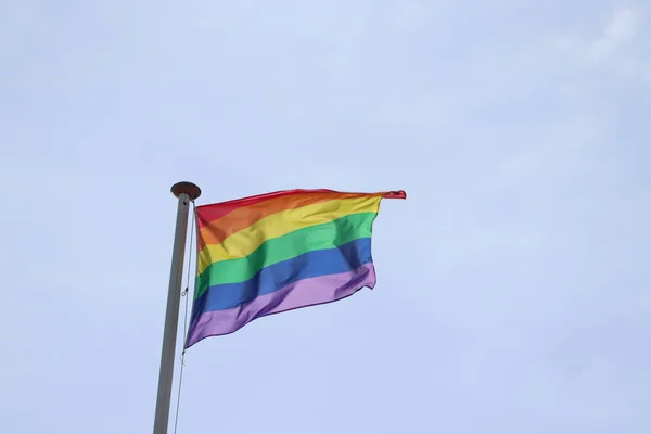 Arco Iris Gay Orgullo Bandera Alto Flagstaff —  Fotos de Stock