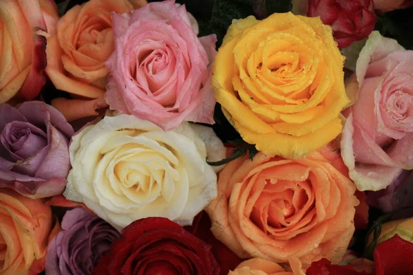 Çiçekli Bir Düğün Süslemesinde Çok Renkli Güller — Stok fotoğraf