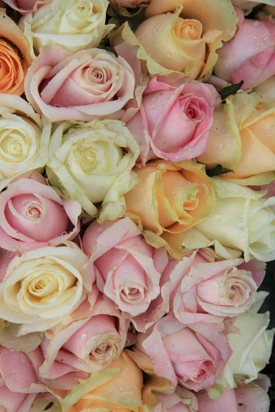 Pastel Rozen Verschillende Kleuren Een Gemengd Huwelijksarrangement — Stockfoto