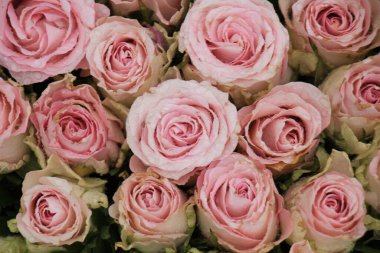 Çiçekli bir düğün süslemesinde karışık pembe güller.