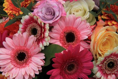 Gerberas ve güller parlak renklerle gelin buketinde