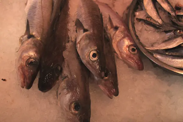 Poissons Mer Frais Sur Glace Concassée Dans Une Poissonnerie — Photo