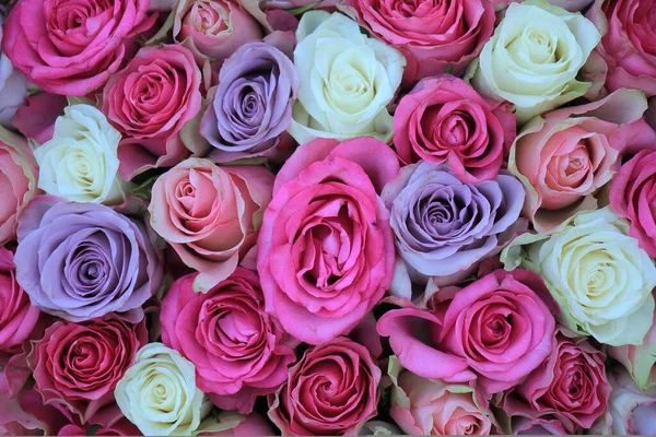 Grandi Rose Miste Rosa Viola Una Decorazione Nozze Floreale — Foto Stock