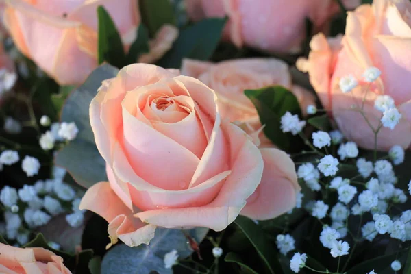 Grandes Roses Roses Gypsophile Arrangement Floral Nuptial — Photo