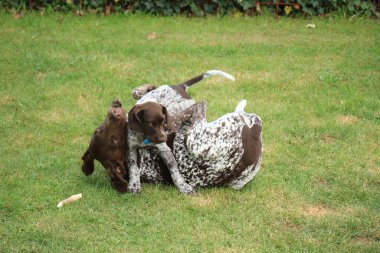 Alman kısaltması: baba ve 9 haftalık oğlu