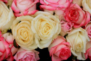 Çiçekli bir düğün süslemesinde karışık pembe ve beyaz güller.