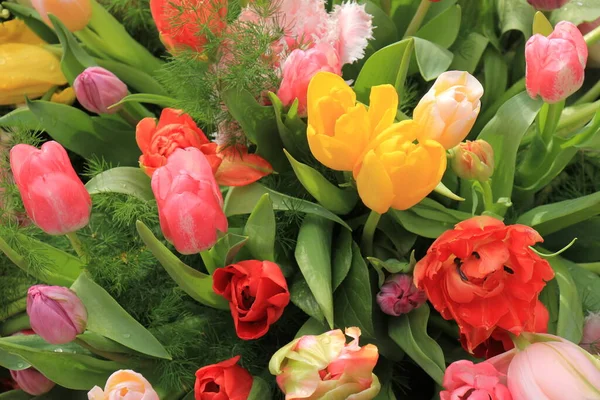 混合チューリップの花束で異なる色 — ストック写真