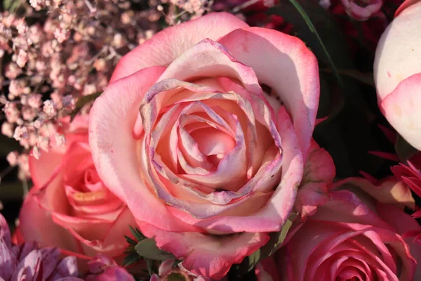 Fresh Pale Pink Roses Bridal Flower Arrangement — Stock Photo, Image