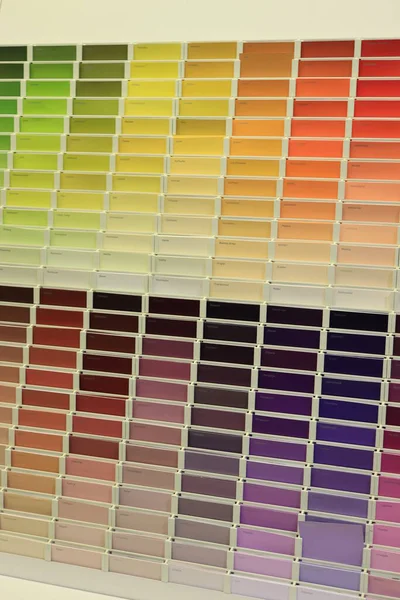 Cruquius Netherlands July 31St 2021 Colorful Paint Swatches Hardware Store — Stock Photo, Image