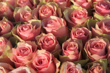 Gelin bir aranjman pembe güller