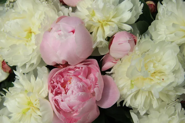 Peonia bouquet da sposa — Foto Stock