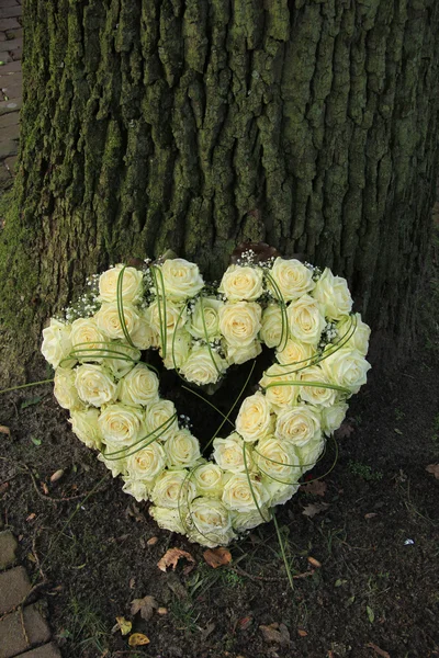 Fleurs de sympathie en forme de coeur — Photo