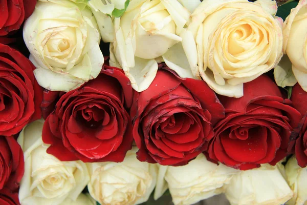 결혼 배열에서 빨간색과 흰색 장미 — 스톡 사진