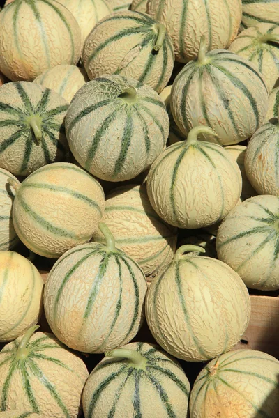 Melons — Photo