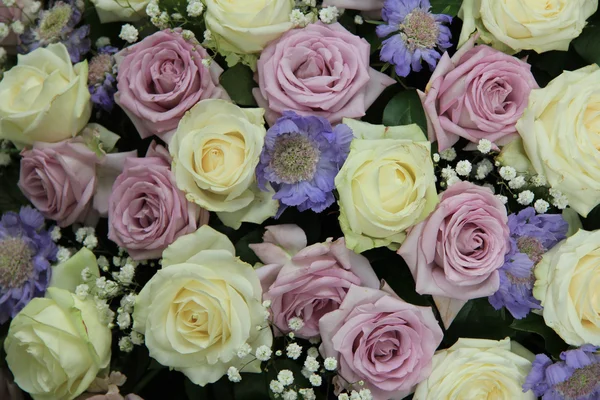 Rosas de casamento roxas e brancas — Fotografia de Stock