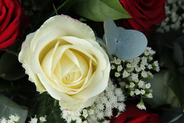 Red and white roses in a bridal bouquet — Stock Photo, Image