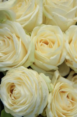 gelin buketi beyaz gül