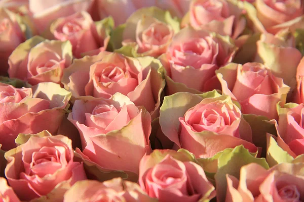 Roses roses dans un arrangement nuptial — Photo