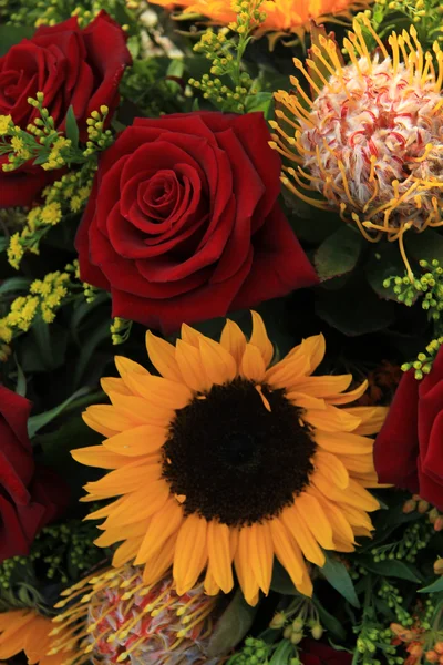 Slunečnice a růže — Stock fotografie