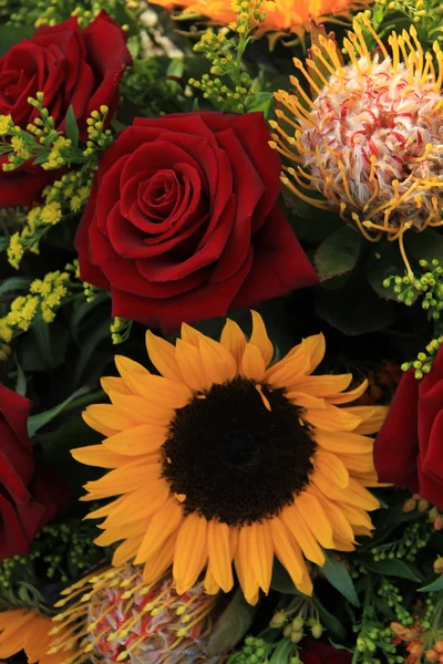 Girasoles y rosas — Foto de Stock