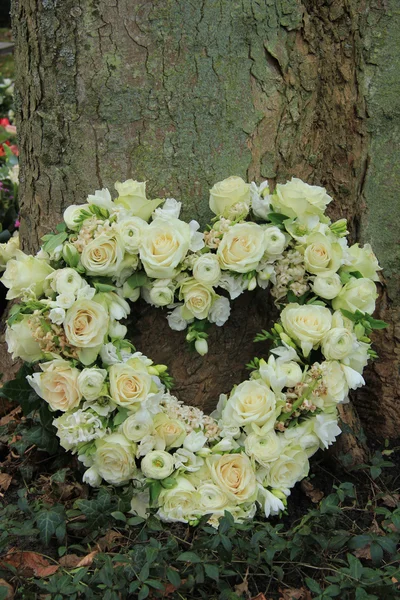 Flores de simpatía en forma de corazón — Foto de Stock