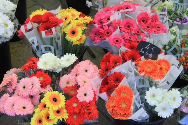 Gerberas en un mercado de flores — Foto de Stock