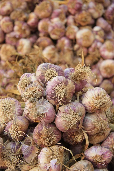 Fresh garlic — Stock Photo, Image