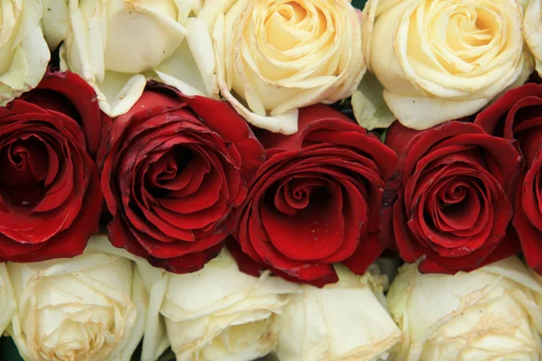 Red and white roses in a wedding arrangement — Stock Photo, Image